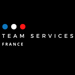 Logo - Team Services